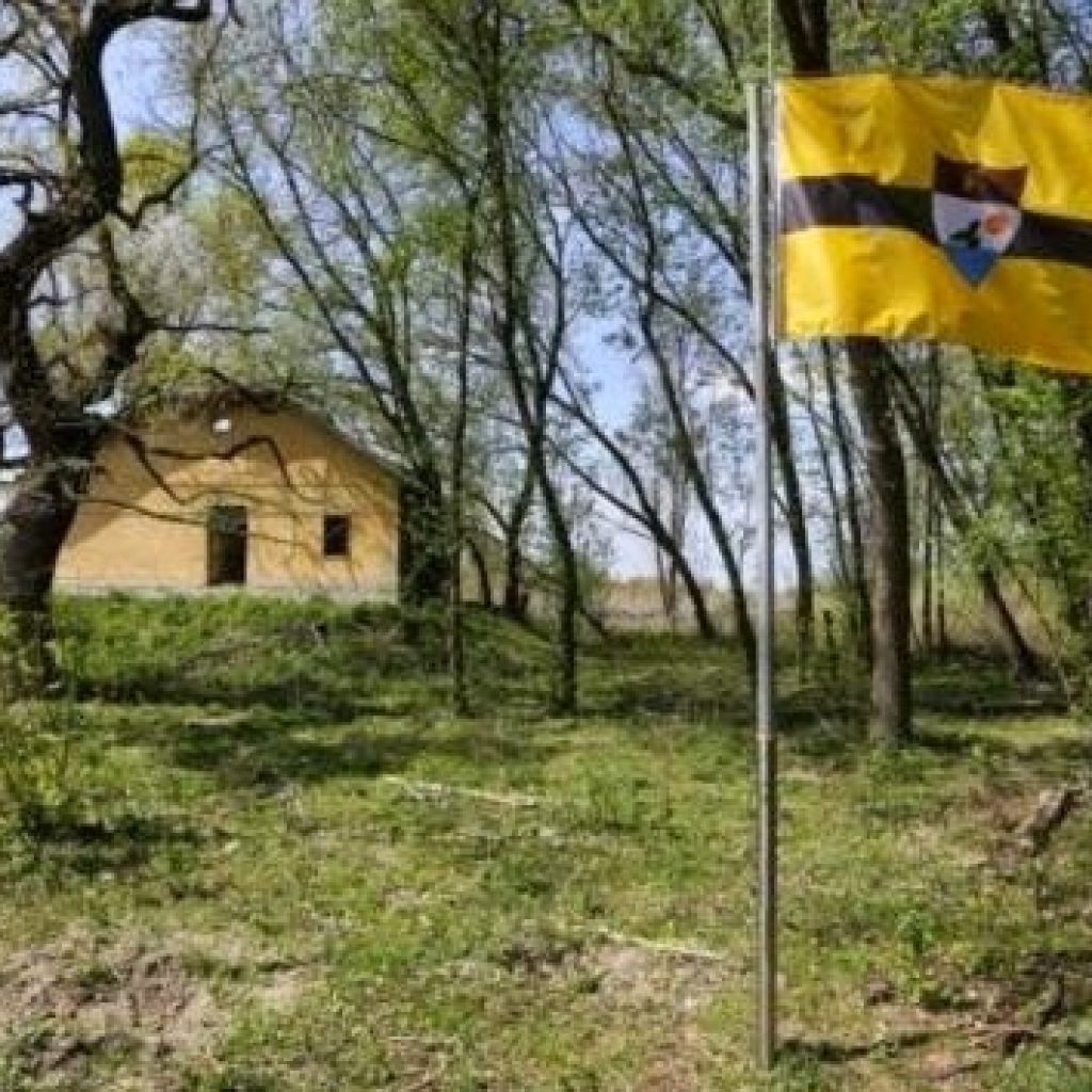 Liberland, mislukte invasie